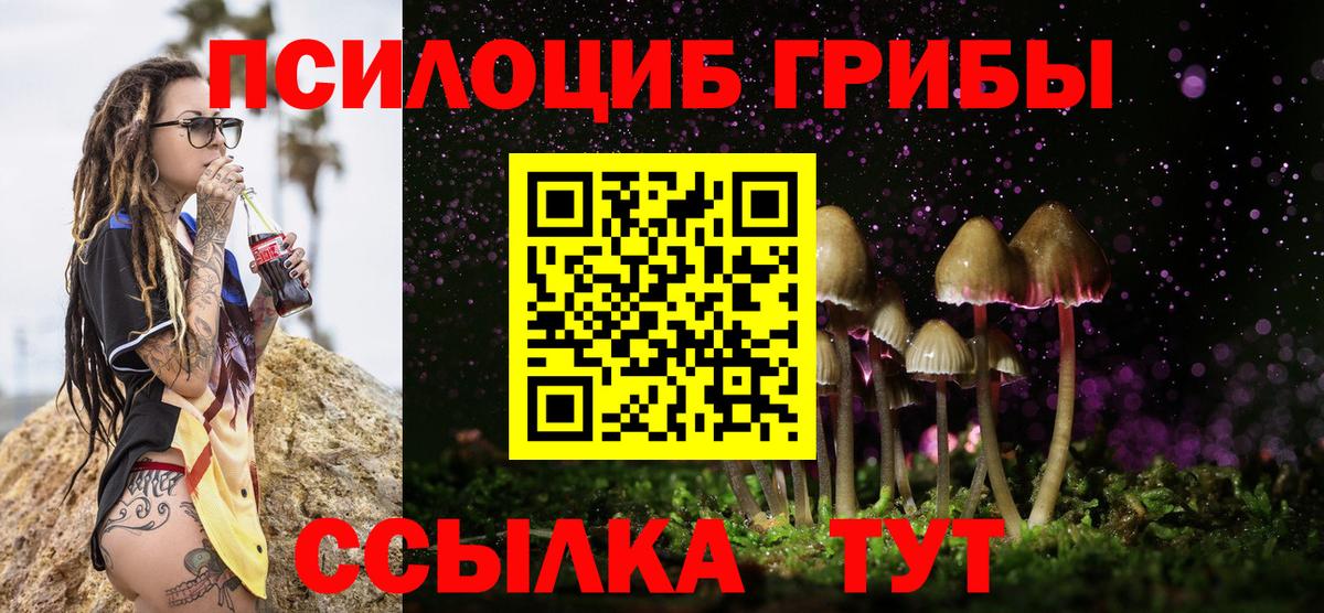 Озёрск  Галлюциногенные грибы прущие грибы  Вход с VPN 